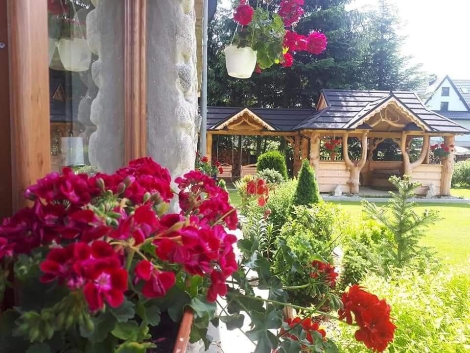 Magurskie Bywanie Witow  Exterior photo